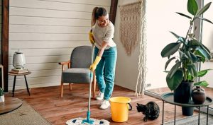 Why Do You Need End-of-Lease Cleaning